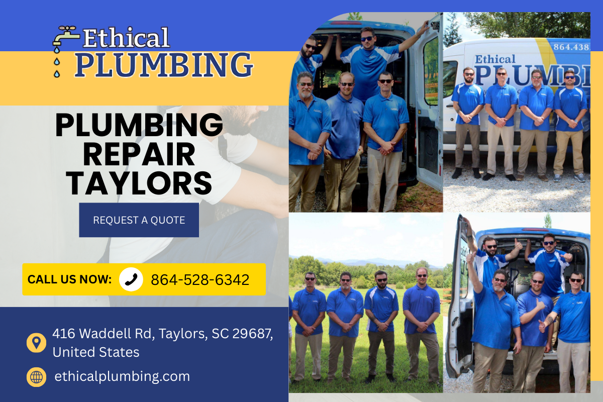 plumbing repair in Taylors